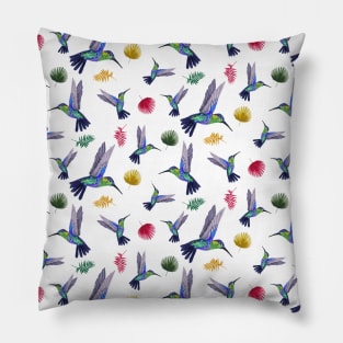 Rainbow, Color, Beak, Long, Bird, Wing, Tail, Palm, Gift Pillow