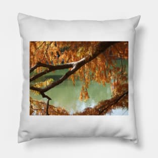 Colorful Fall Bald Cypress Pillow