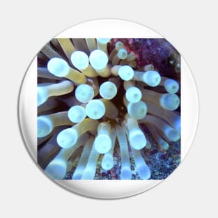 Sea Anemone Pin