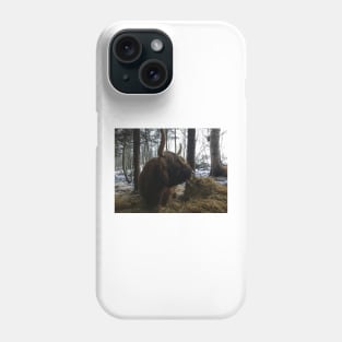 Scottish Highland Cattle Cow 2191 Phone Case