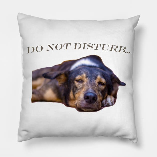 cool and funny dog Pillow by rickylabellevie