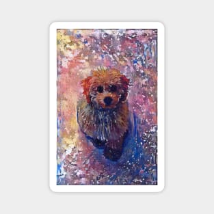 Cute Puppy Looking At You Art Magnet