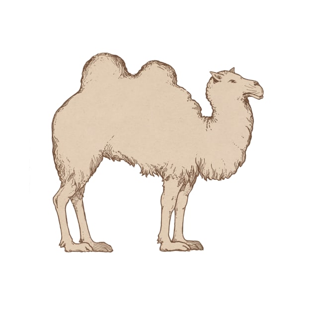 Plain Ole Doublehump Camel by alexp01