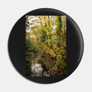 Wanstead Park Pin