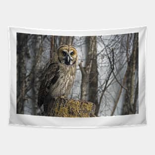 Owl Tapestry