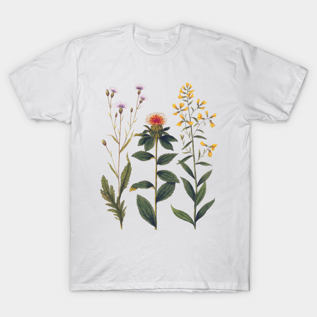 Wildflowers and Thistles Vintage Botanical - Wildflowers - T-Shirt