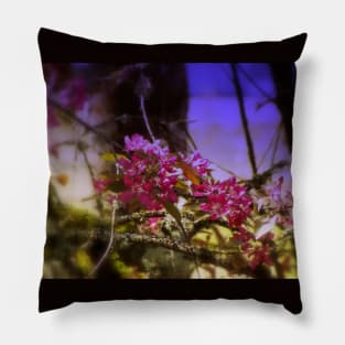 red Malus 'Radiant'  crab apple blossoms #1 Pillow