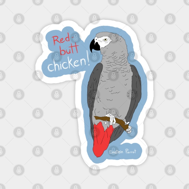 African Grey Parrot Red Butt Chicken Magnet by Einstein Parrot