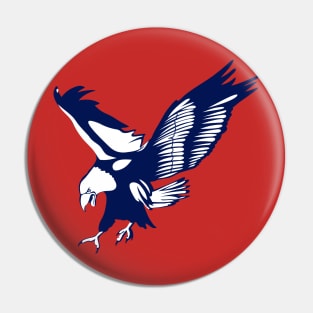 United States Eagle Pin