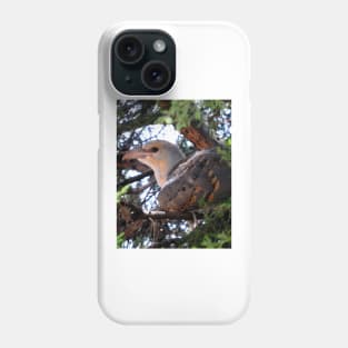 Channel-billed Cuckoo Phone Case