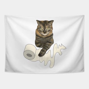 Sassy The Cat, Master of Toilet Paper Tapestry