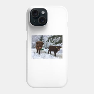 Scottish Highland Cattle Calves 1624 Phone Case