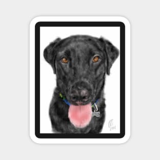 Smiling Happy Black Labrador Retriever Magnet