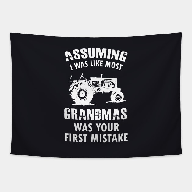 Assuming I Was Like Most Grandmas Was Your First Mistake Tapestry by Anite