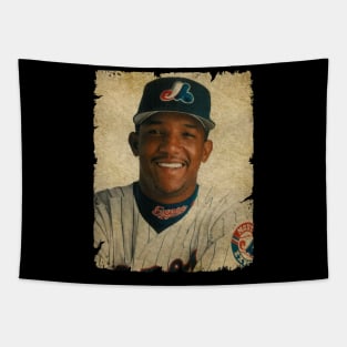 Pedro Martinez 51st Birthday Tapestry