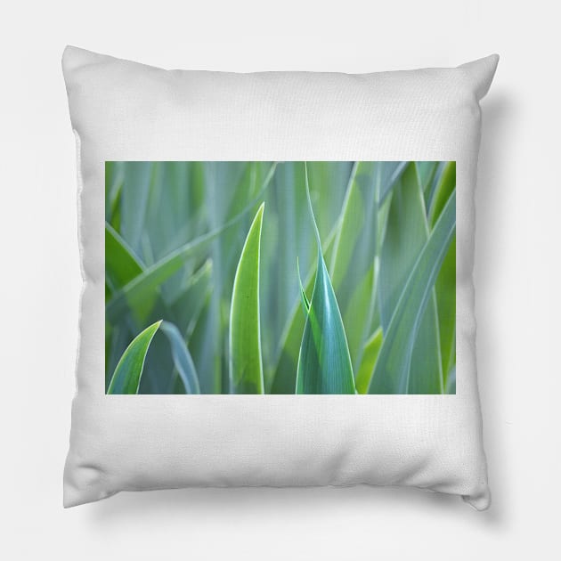 leafy monochrome Pillow by LaurieMinor