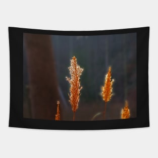 Grass Fire Tapestry