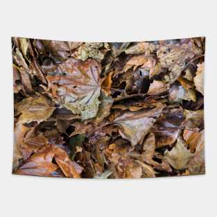 Colorful Autumn leaves on the ground Tapestry