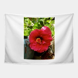 Red Hibiscus Tapestry