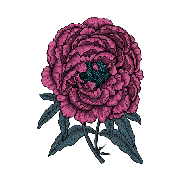 Peony drawing by katerinamk