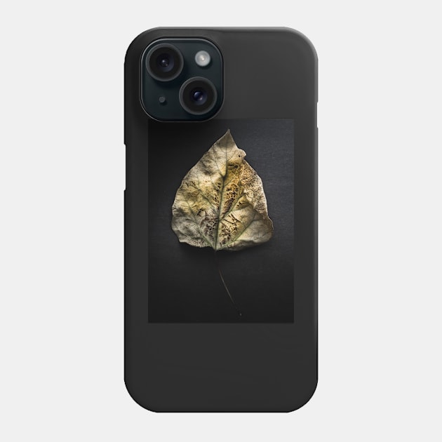 Leaves No 1 Color Version Phone Case by learningcurveca