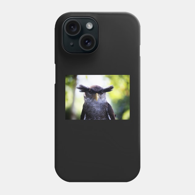 Great Horned Owl Phone Case by MinnieWilks