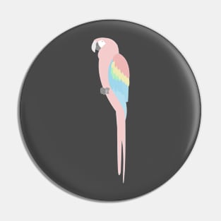 Pastel Parrot Scarlet Macaw Pin