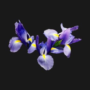 Irises - Group of Japanese Irises T-Shirt