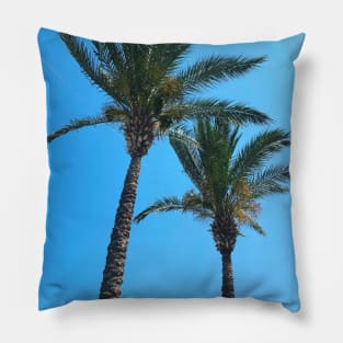 Pretty picture of a Palm Tree. Pretty Palm Trees Photography design with blue sky Pillow