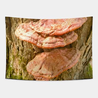 Beefsteak Fungus Tapestry