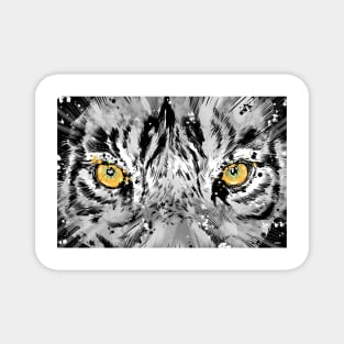 Eye of the tiger Magnet