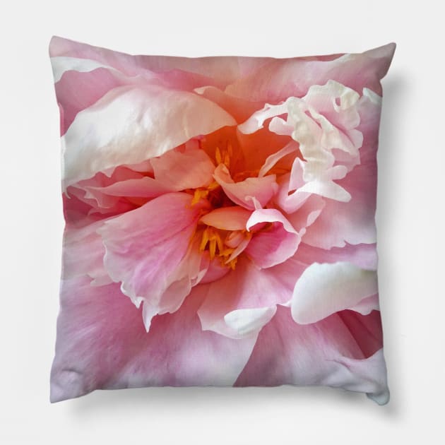 Closeup of Pale Pink Peonies Pillow by SusanSavad