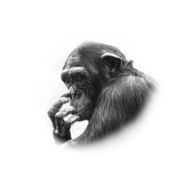 Chimpanzee by Guardi