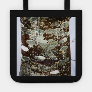 Tree trunk Tote