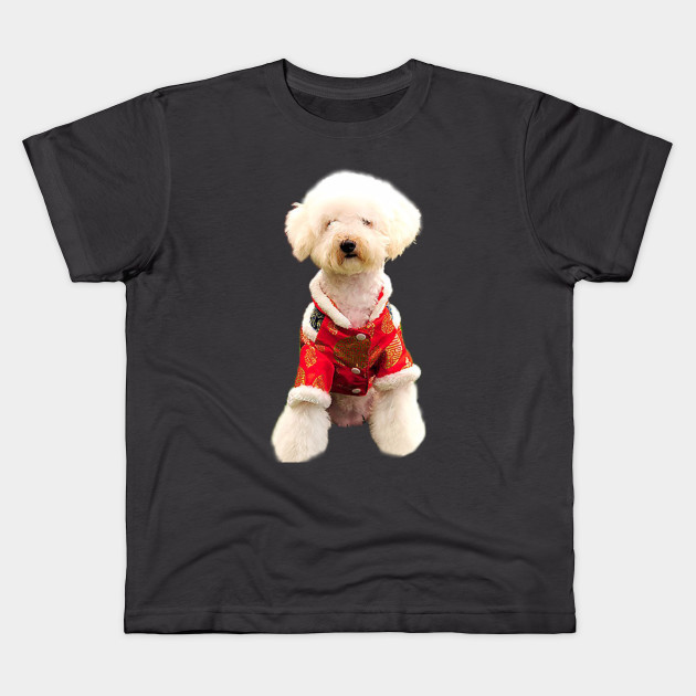 red shirt for dog