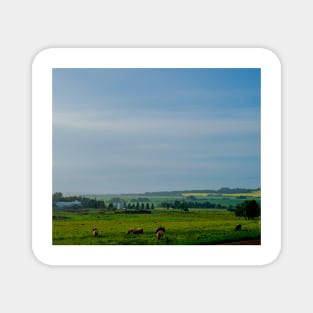 Farm with grazing cattle Magnet