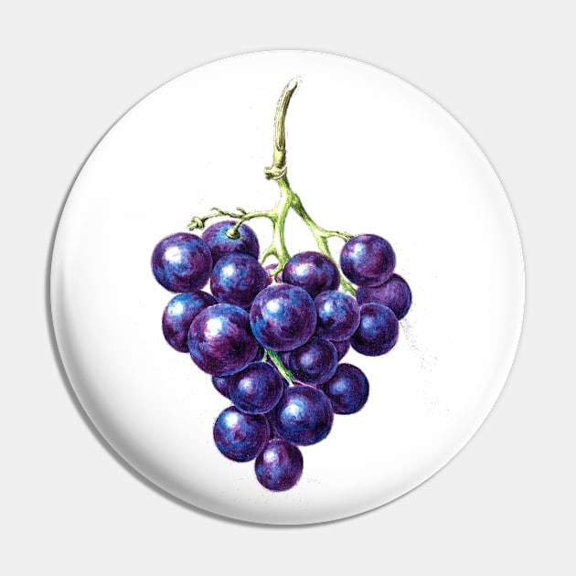 Bunch of grapes Pin by Marccelus