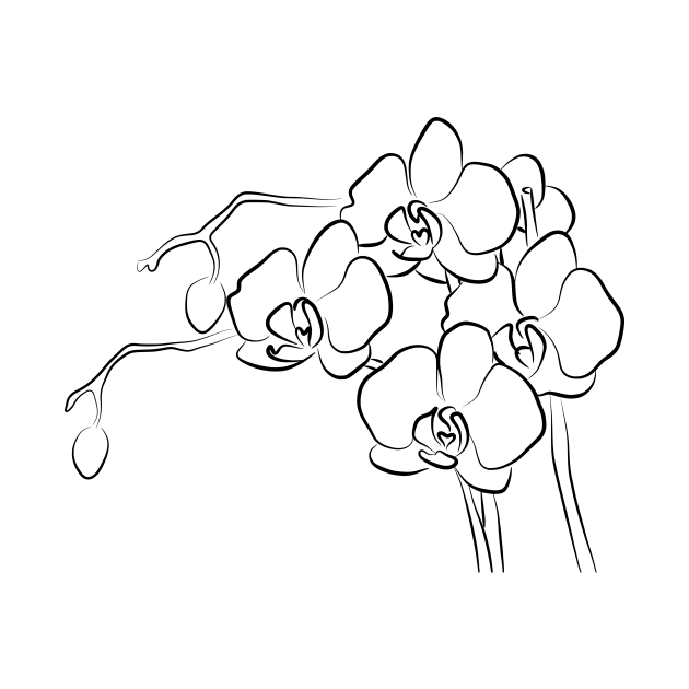 Orchid Line Art Drawing by PeachOnAWindowsill