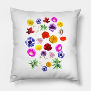 Multicolor summer flowers Pillow