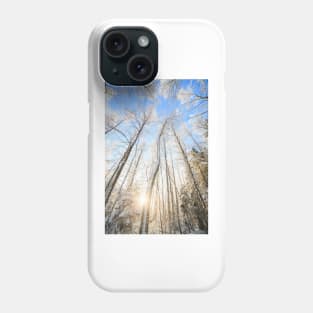 Winter forest Phone Case