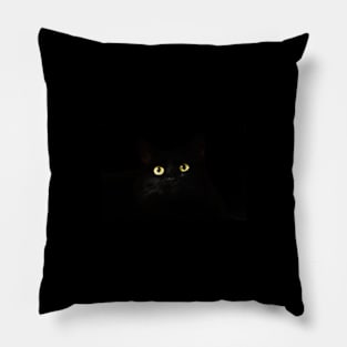 Black cat Pillow