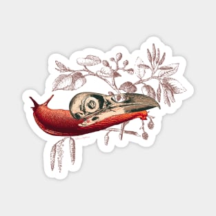 Enigmatic Escargots: Spooky Art Print Featuring Red Snail Donning Raven Skull Shell Magnet