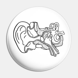 Line Drawing of Inner Ear Anatomy Illustration Pin