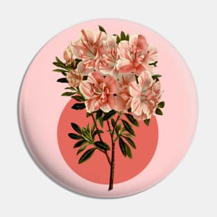 Flower illustration of a pink azalea Pin