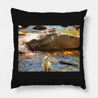 River Lord Pillow