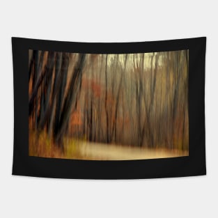 Country Road #3 Tapestry