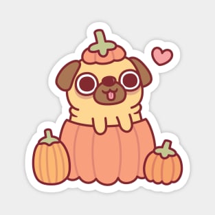 Cute Pug In Pumpkin Funny Thanksgiving Magnet