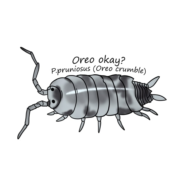 Oreo okay P.pruniosus (oreo crumble by Binkykun