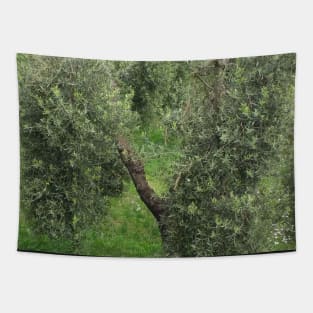 Olive tree Mediterranean Grove Tapestry