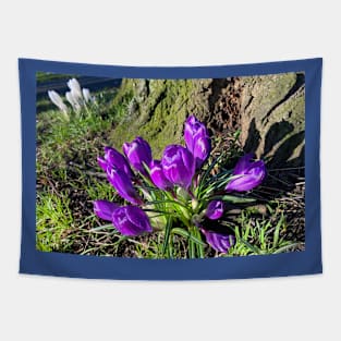 Purple Crocus Tapestry